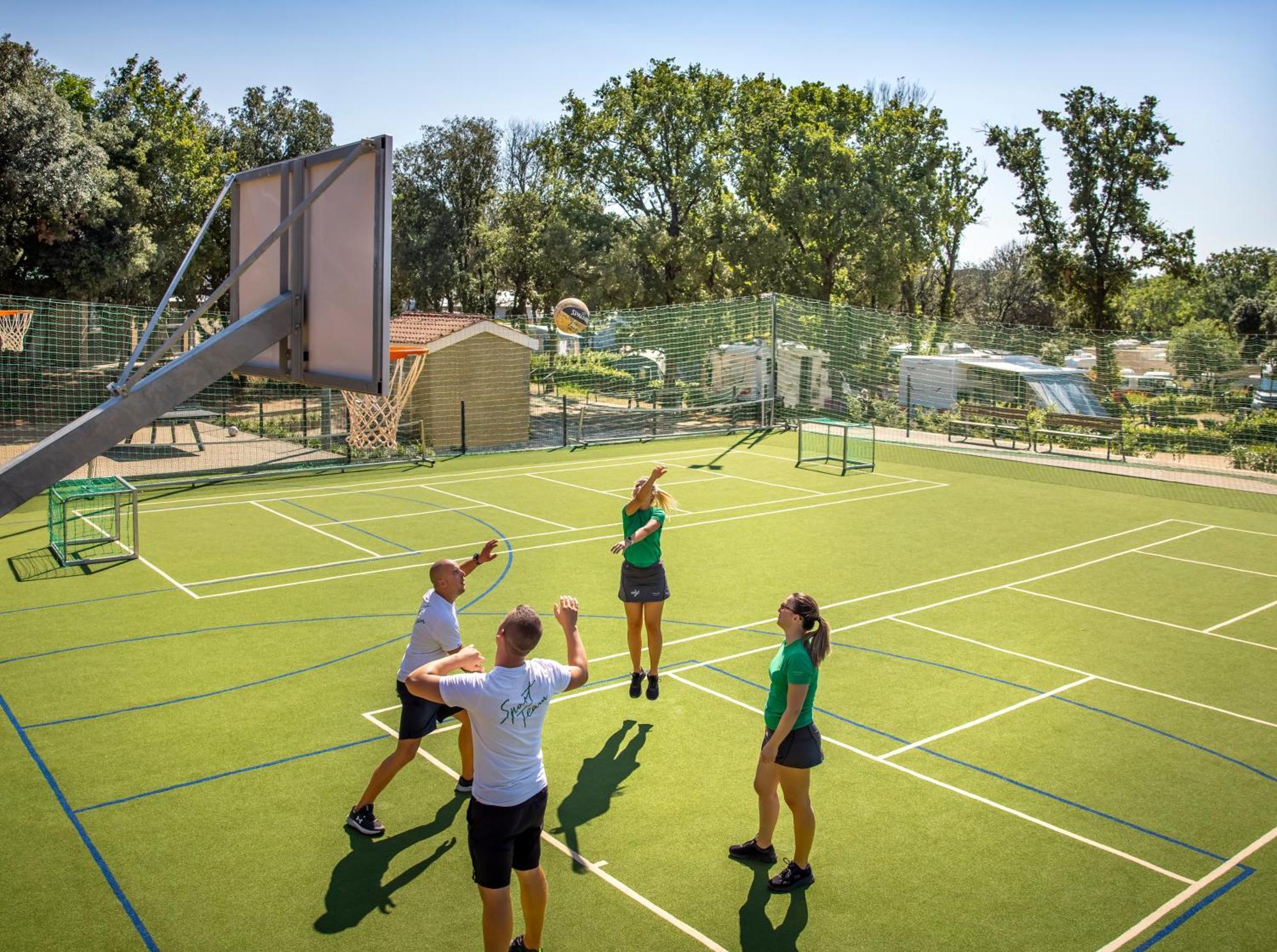 Maistra Vestar Pitches